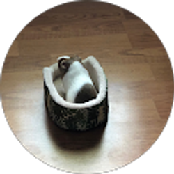 Profile photo of chris