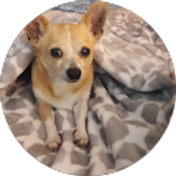 Profile photo of Peggy Molleur