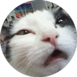 Profile photo of Jesus Guzman