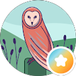 Profile photo of Dr. Steve H