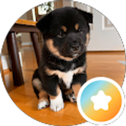 Profile photo of Tammy Suen