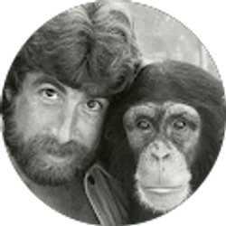 Profile photo of Michael Berk