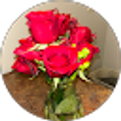 Profile photo of Doug & Jamie Lahl