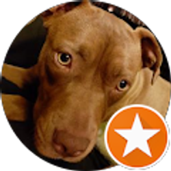 Profile photo of Ivan Trebuet