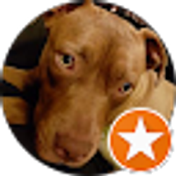 Profile photo of Ivan Trebuet