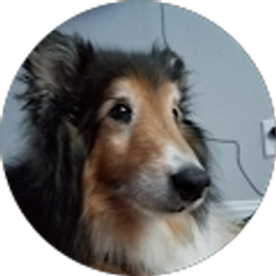 Profile photo of Ryan Scott