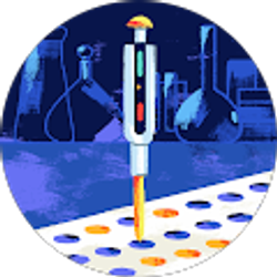 Profile photo of Karen D'Avanzo