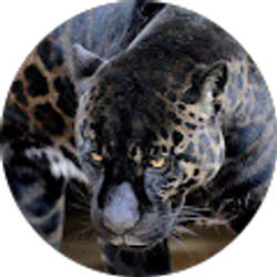 Profile photo of Shawn Hernandez