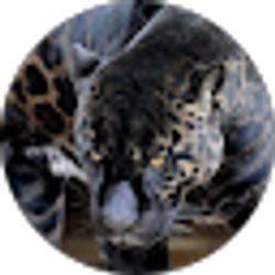 Profile photo of Shawn Hernandez