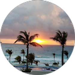 Profile photo of dan schauer