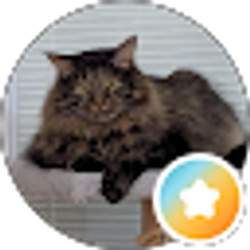 Profile photo of Dave M