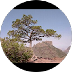 Profile photo of William LeMaster