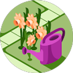 Profile photo of Lillian Brott