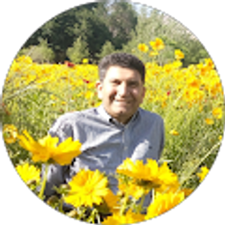 Profile photo of S Tayebi