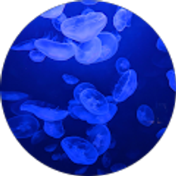 Profile photo of Cristian Martinez