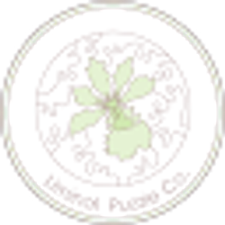 Profile photo of Carmen Curtis
