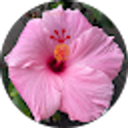Profile photo of Bridgette Meza