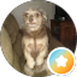 Profile photo of Thomas M