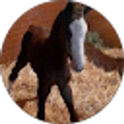 Profile photo of Miya Hendren