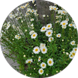 Profile photo of cami durantes