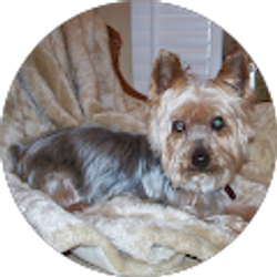 Profile photo of tim elmore