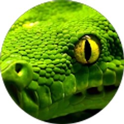 Profile photo of ayana brown