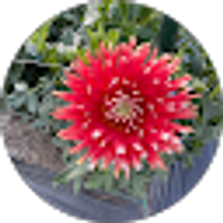 Profile photo of Susan Poulson