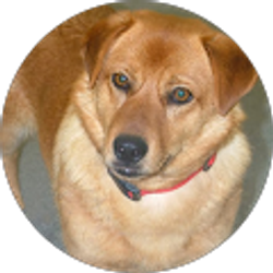 Profile photo of Sandra Thomas