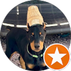 Profile photo of Gren Ville