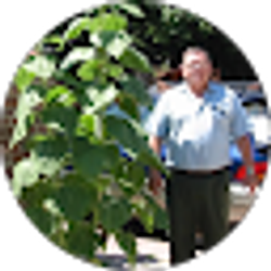 Profile photo of francisco sandoval