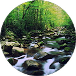 Profile photo of Leslie Mau