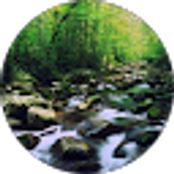 Profile photo of Leslie Mau