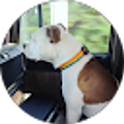 Profile photo of josh Hall
