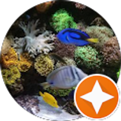 Profile photo of Chris