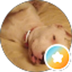 Profile photo of Brenda Brown