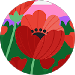 Profile photo of Heejin Lim