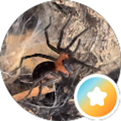 Profile photo of Nicole Worker