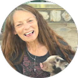 Profile photo of julie birkhimer