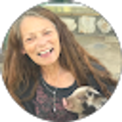 Profile photo of julie birkhimer