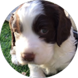 Profile photo of Rachel Ramsey