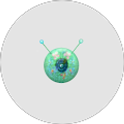 Profile photo of Paula Fye