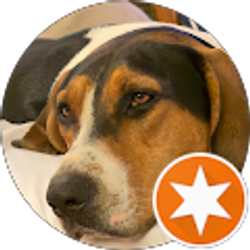 Profile photo of Captain Chris Wade