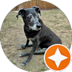 Profile photo of Mark Lewandowski