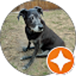 Profile photo of Mark Lewandowski