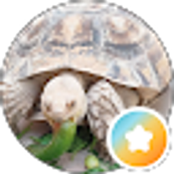 Profile photo of Mikall Lovitt