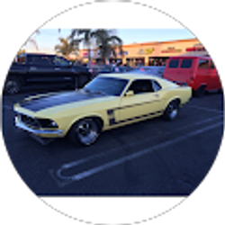 Profile photo of V H