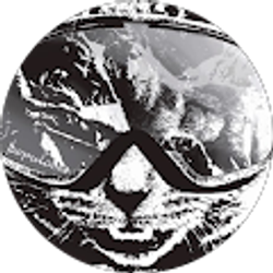 Profile photo of Jerry Perschke