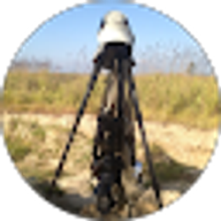 Profile photo of Sergio Pine