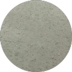 Profile photo of Xavier Carmona