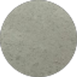 Profile photo of Xavier Carmona